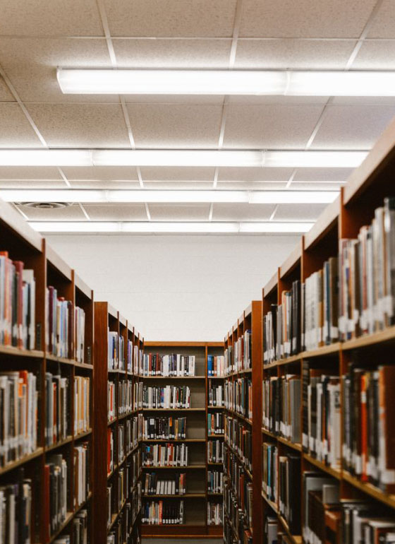 Bibliothèque avec beaucoup de livres